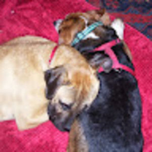 Meet your Posher, Siegrid